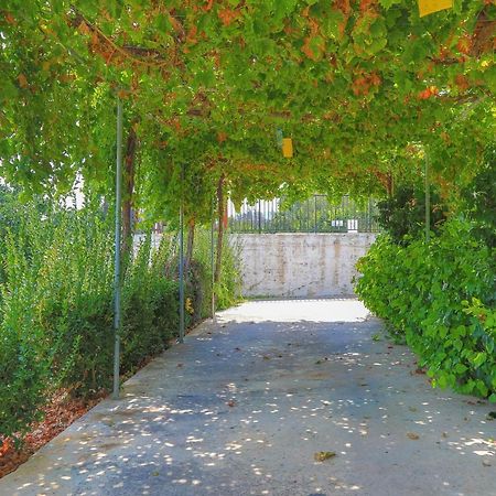 Villa Aphrodite Finiki Polis ภายนอก รูปภาพ