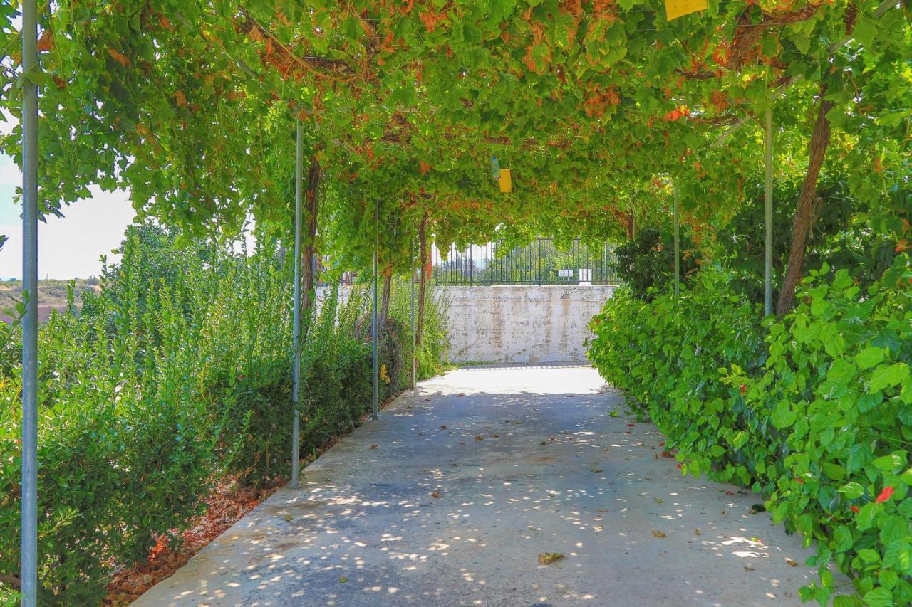 Villa Aphrodite Finiki Polis ภายนอก รูปภาพ